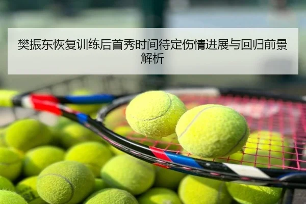 樊振东恢复训练后首秀时间待定伤情进展与回归前景解析
